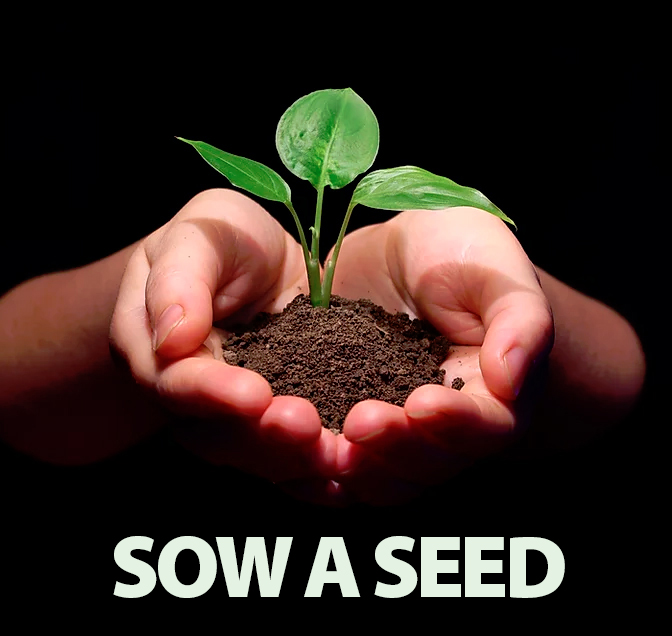 Donate SOW A SEED